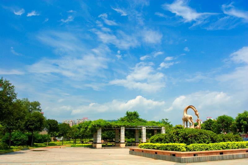“圍捕雪豹”“漂流小孩哥大鬧幼兒園”等都是謠言！10起網(wǎng)絡謠言案件公布