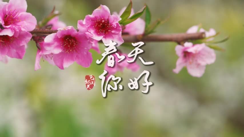 你好，韶關(guān)