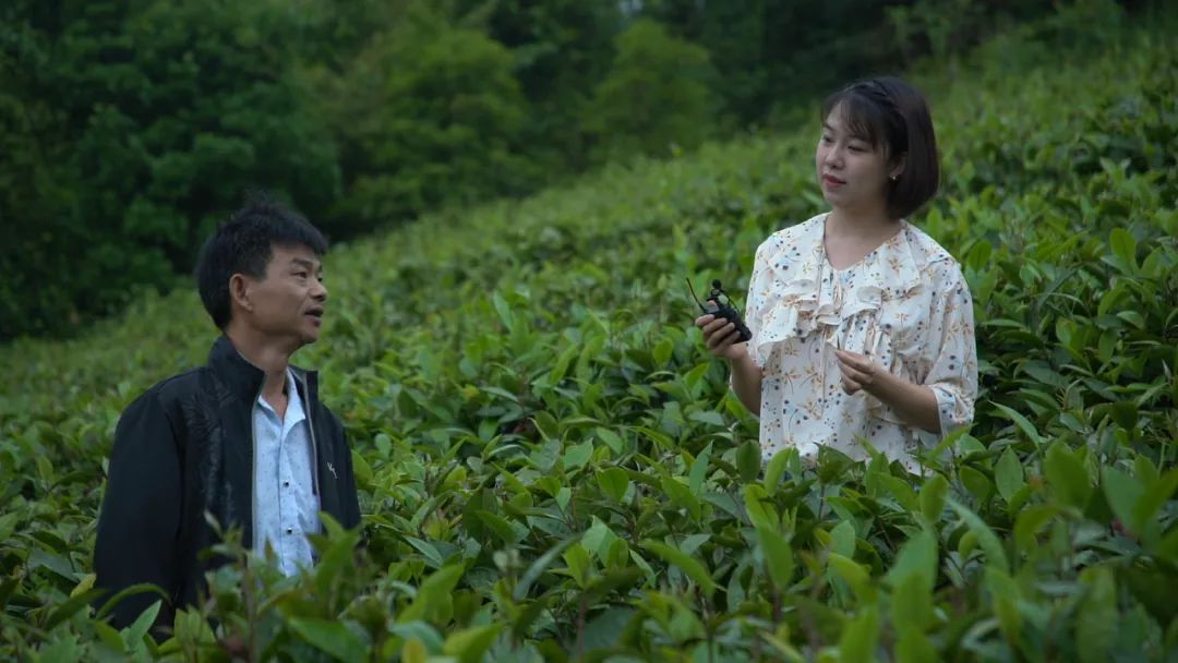 這位“全能型”記者不簡單！她用執(zhí)著與熱情記錄著仁化的發(fā)展