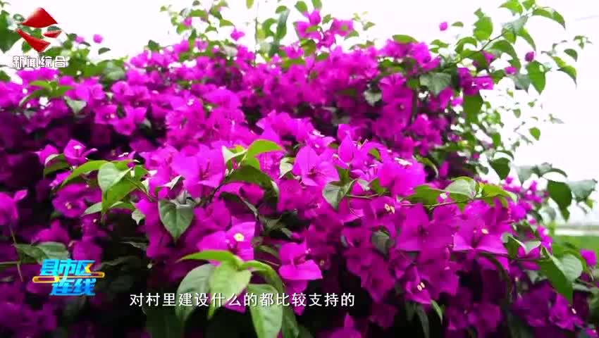 鄉(xiāng)風(fēng)正 民心齊 樂昌市北鄉(xiāng)鎮(zhèn)東紅村喜獲全國文明村榮譽