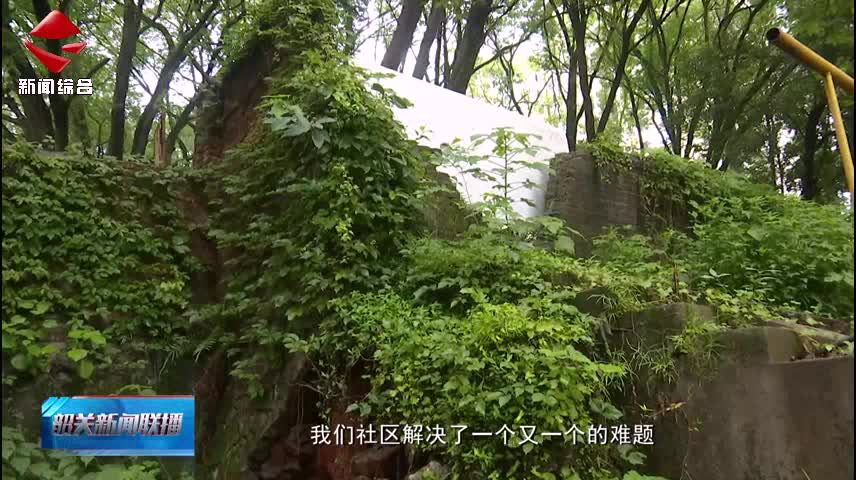 韶關(guān)新聞聯(lián)播20250611